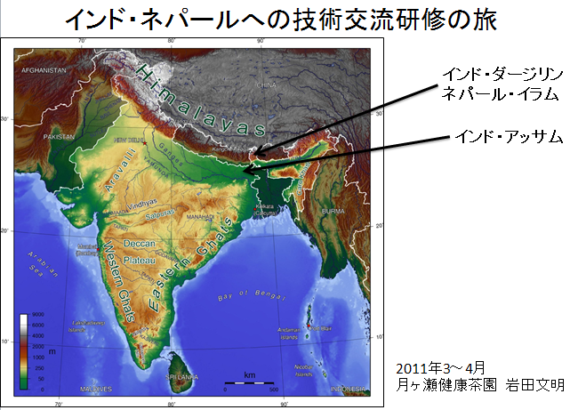 インド ネパール滞在レポート 文明語る 月ヶ瀬健康茶園